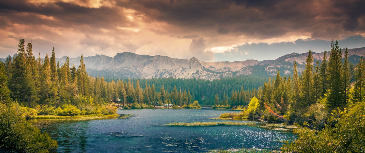 在线呼死你轰炸