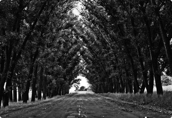 短信炸弹防护业务