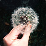 电话在线轰炸测试